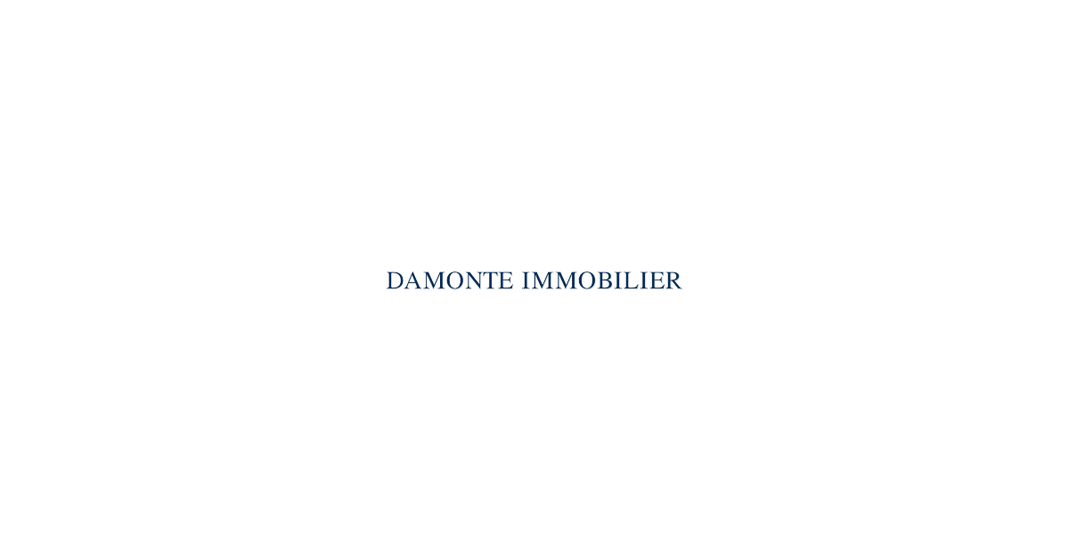 Logo de l'agence Damonte Immobilier